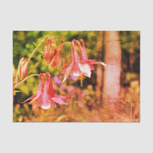 Roze  ontkoppeling van Columbine Flowers Tissuepapier