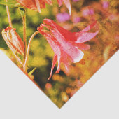 Roze  ontkoppeling van Columbine Flowers Tissuepapier (Detail)