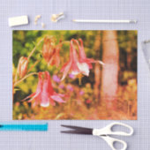 Roze  ontkoppeling van Columbine Flowers Tissuepapier (Craft)