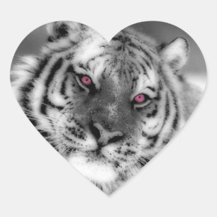 Roze Oogtijger Hart Sticker