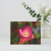Roze oppy in de Sunshine Foto Briefkaart (Staand voorkant)