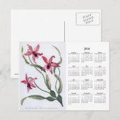  Roze Orchid 2016 Floral Calendar Briefkaart (Voorkant / Achterkant)