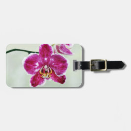 Roze Orchid Bagagelabel
