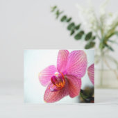 Roze Orchid Briefkaart (Staand voorkant)
