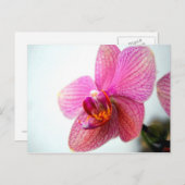 Roze Orchid Briefkaart (Voorkant / Achterkant)