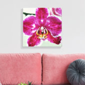 Roze Orchid Canvas Afdruk (Insitu (Woonkamer))