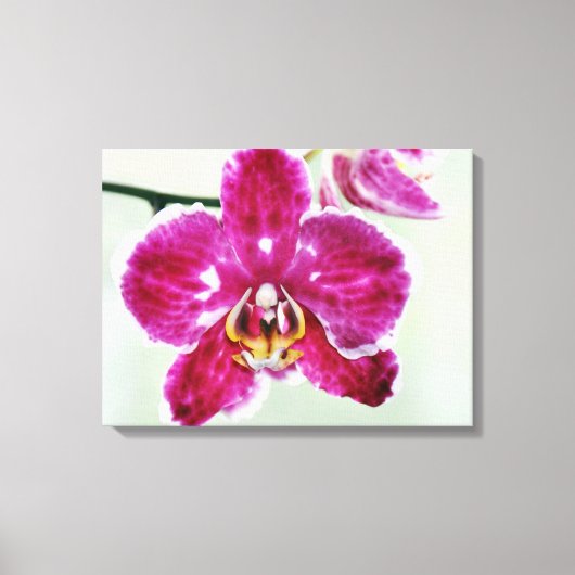 Roze Orchid Canvas Afdruk (Voorkant)