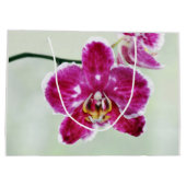 Roze Orchid Groot Cadeauzakje (Achterkant)