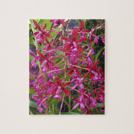 Roze Orchid Legpuzzel