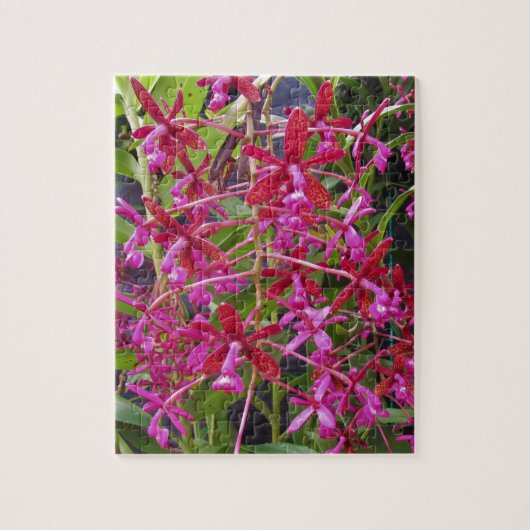 Roze Orchid Legpuzzel (Verticaal)