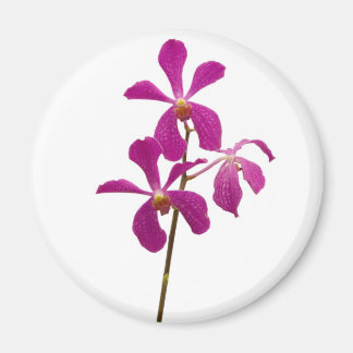 Roze Orchid Magneet