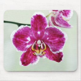 Roze Orchid Muismat