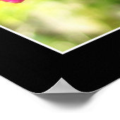 Roze Orchid Poster (Hoek)