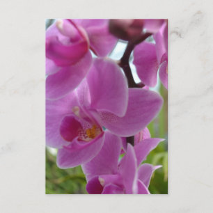 Roze Orchid R.S.V.P. RSVP Kaartje