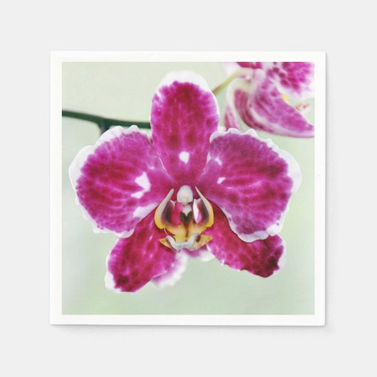 Roze Orchid Servet (Voorkant)
