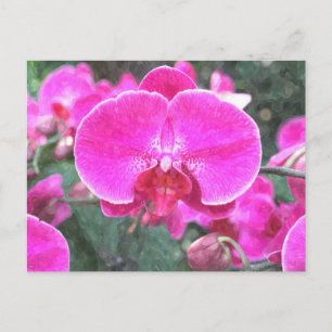 Roze orchidebloem, bloemfotografie briefkaart