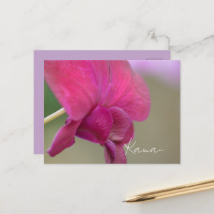 Roze Orchidee Bloem Kauai Briefkaart