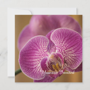 Roze Orchidee Bloem Verjaardag Kaart