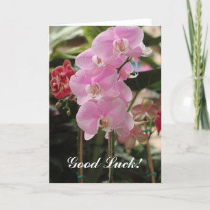 Roze Orchidee blooms Kaart
