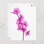 "Roze orchidee" Briefkaart (Voorkant / Achterkant)