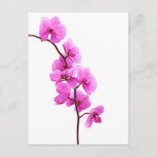 "Roze orchidee" Briefkaart (Voorkant)
