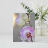 Roze orchidee Briefkaart (Staand voorkant)