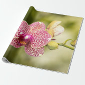 Roze orchidee cadeaupapier (Uitgerold)