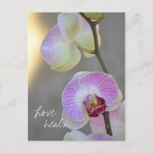 Roze orchidee expressie Love Heals Briefkaart