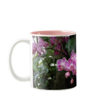 Roze orchidee-Floral fotografie
