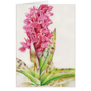 Roze orchidee florele fijne kunst, elke dag geschi