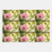 Roze orchidee inpakpapier vel (Voorkant 2)
