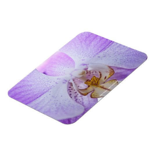Roze Orchidee Magneet (Linkerzijde)