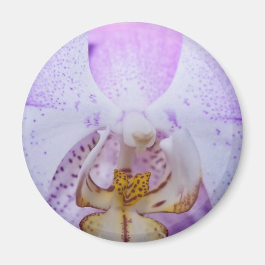 Roze Orchidee Magneet (Voorkant)