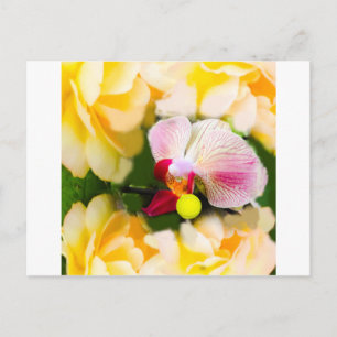 Roze orchidee met tennisbal briefkaart