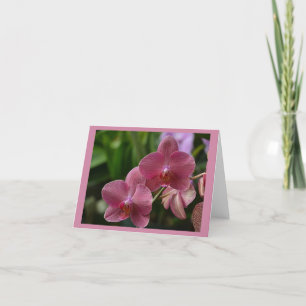 Roze Orchidee Note Kaart