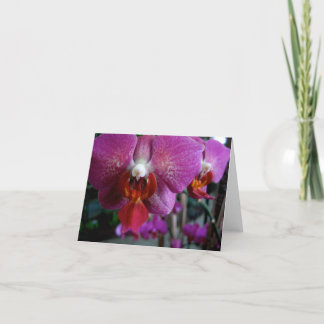 Roze Orchidee Notecard Kaart