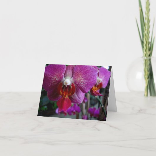 Roze Orchidee Notecard Kaart (Voorkant)