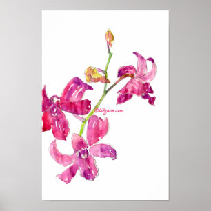 Roze, orchidee Poster