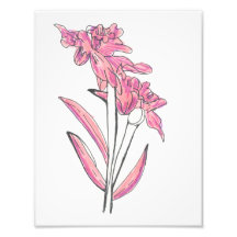 Roze Orchidee Print