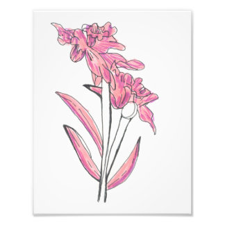 Roze Orchidee Print Foto Afdruk