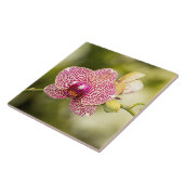 Roze orchidee tegeltje (Zijkant)