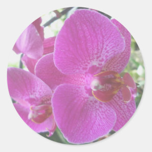 Roze orchidee tickers ronde sticker