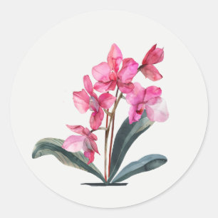 Roze Orchidee Tuin Bloem Bloem kunst Ronde Sticker