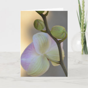 Roze Orchidee Uitdrukking Card Kaart