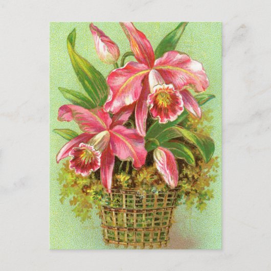 Roze orchidee ventilator briefkaart (Voorkant)