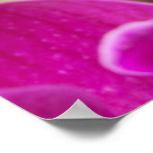 Roze orchidee ventilator - Sjabloon van Floral Orc Poster (Hoek)