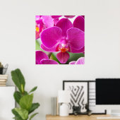 Roze orchidee ventilator - Sjabloon van Floral Orc Poster (Thuiskantoor)