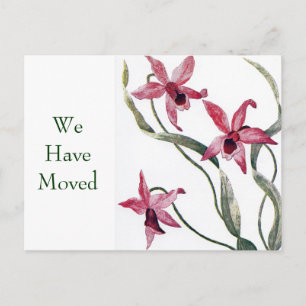  Roze Orchidee Verandering van Adres Briefkaart