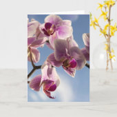 Roze orchidee wenskaart kaart (Gele Bloem)