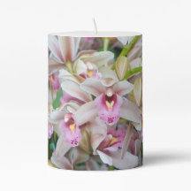 Roze Orchideeën